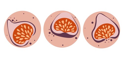 Set of cut figs on a round background. Background with scattered dots of different sizes. Simple vector illustration for printing. Suitable for decorating stories, stickers and manicure. 
