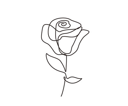 Minimalist rose flower design. Continuous line drawing of rose flower.