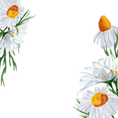 Summer square frame with watercolor daisies illustration. Template for decorating designs and illustrations.