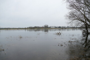 Fluss Elbe bei Gorleben 10
