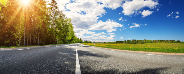 Asphalt road with beautiful trees on the one side and with field of fresh green grass and dandelions on another.