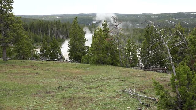 Lower Geyser Basin at the Fountain Paint Pot Trail. Yellowstone NP, Wyoming, USA