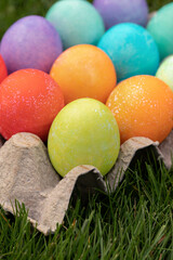 easter eggs in grass