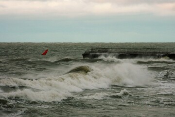 surfing in the sea