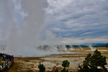 Yellowstone NP