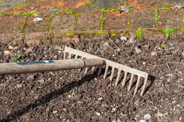 Garden rake being use to prepare the dirt soil of a garden flower bed before planting out, stock photo image