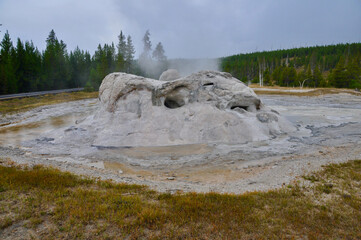 Yellowstone NP