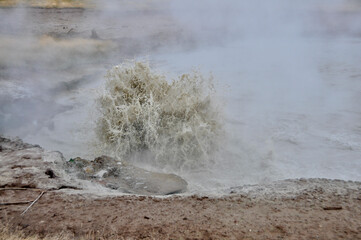 Yellowstone NP