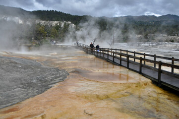 Yellowstone NP Mammoth Springs