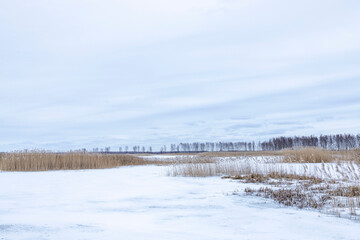 Winter landscape with a developed bog lake.