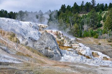 Yellowstone NP Mammoth springs