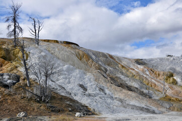 Yellowstone NP Mammoth springs
