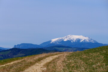 Fototapeta premium Feldweg in den Bergen