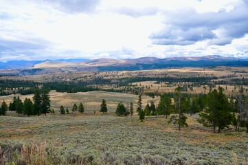 Fototapeta na wymiar Yellowstone NP