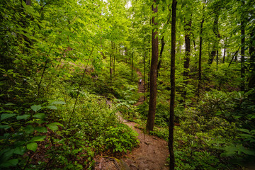 Chimney Rock Trail. North Carolina