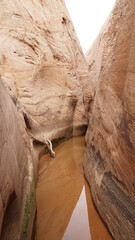 Zebra, Peek-A-Boo and Spooky Slot Canyons exploration in dry arid landscapes near Escalante Town, Utah, USA.