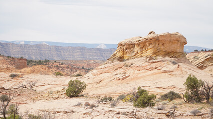 Fototapeta premium Zebra, Peek-A-Boo and Spooky Slot Canyons exploration in dry arid landscapes near Escalante Town, Utah, USA.