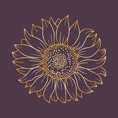Golden sunflower on a purple background. Sunflower head outline. Hand drawn vector illustration for your design.