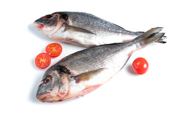 Fresh dorado isolated on white background