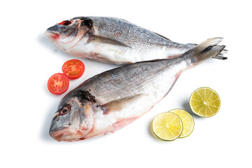 Fresh dorado isolated on white background
