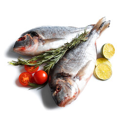 Fresh dorado isolated on white background