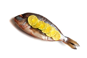 Fresh dorado isolated on white background