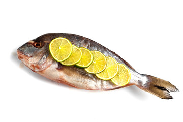 Fresh dorado isolated on white background