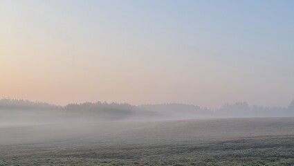 Spring Morning Fog © Olivvier