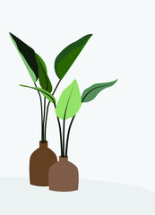 Vector flat illustration of plants in vases. Home plants in pots. Green leaves in brown flowerpots. Design for postcards, posters, backgrounds, textiles, templates, interior items.