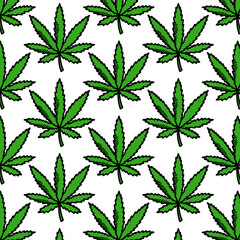 hemp leaf seamless doodle pattern, vector color illustration