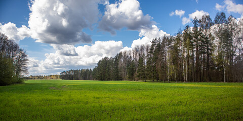 A beautiful springtime scenery with cloudy sky. Sunny day with clouds during spring in Northern Europe. Natural rural landscape.