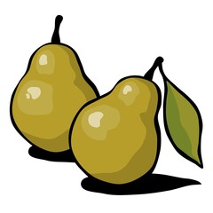 Drawn ripe pear fruits with a leaf on a white background. Vector illustration.