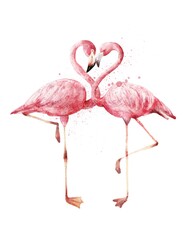Watercolour pair of pink flamingo birds on white background. Watercolor illustration. - obrazy, fototapety, plakaty
