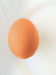 Egg on a white background.