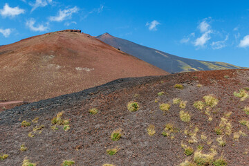 View at Mount Etna (volcano) in Summer time, Sicily. Italy, Europe
