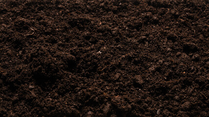 Black land for plant background.