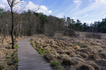 Birgeler Urwald 