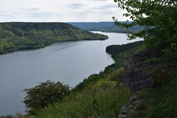 Obraz premium river and forest