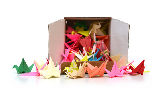 A Origami Birds Drop Down, Open Box