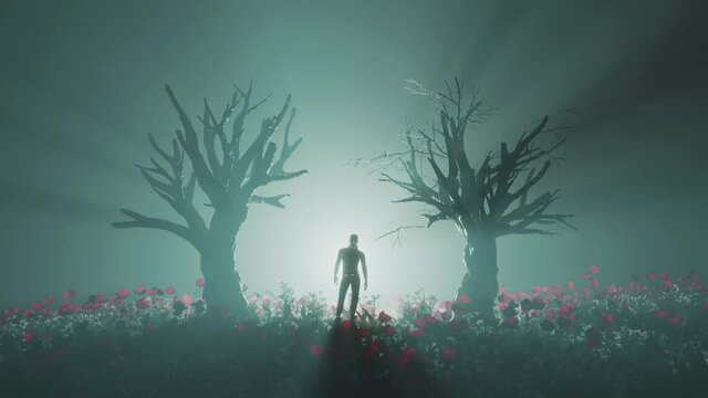 Man standing in poppy field between two dead trees, cgi animation