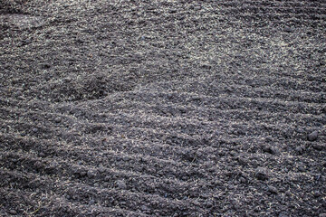 Close-up of rake marks across farm field or lawn, grass seeds on the ground