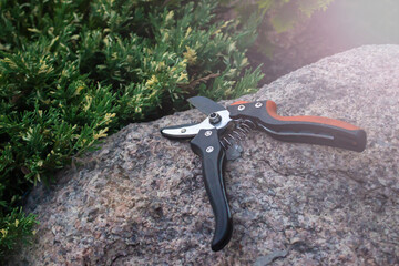 Pruning shears, also called hand pruners, or secateurs lie on a stone in the garden. landscape design concept