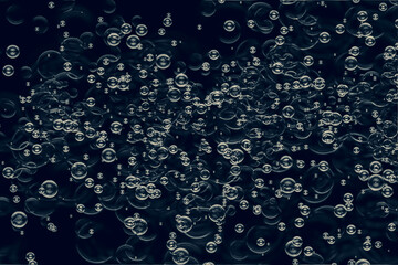 bubbles
