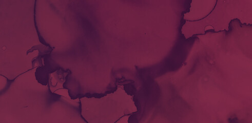 Color Wine Splash. Watercolour Winery Texture.