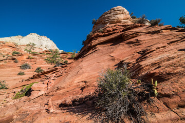 Zion National Park in Utah, USA