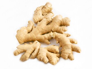 brown,raw bulbs of ginger tropical plant