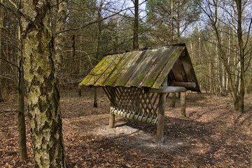 DREWNIANY PAŚNIK DLA ZWIERZĄT W LESIE © michalsen