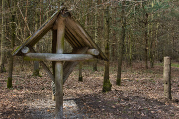 DREWNIANY PAŚNIK DLA ZWIERZĄT W LESIE © michalsen