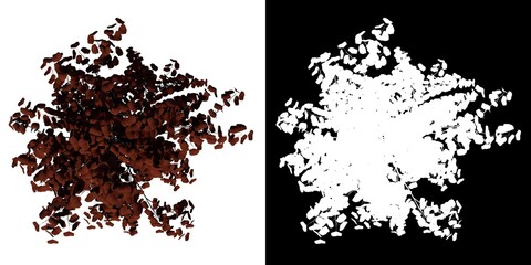 Top view of Plant ( Cercis canadensis Eastern Redbud 3) Tree png with alpha channel to cutout made with 3D render 