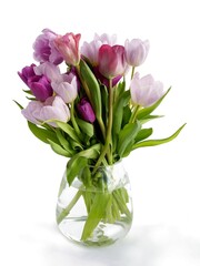 beautiful  various multicolor tulips as spring flowers